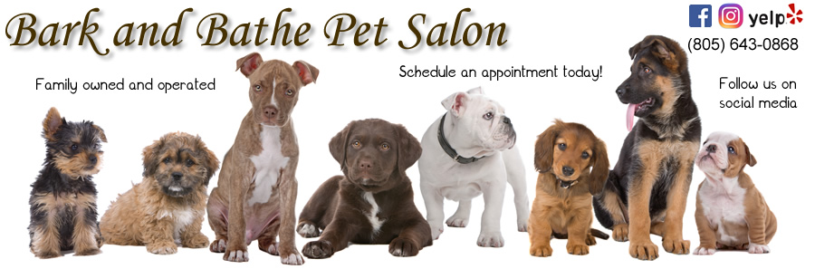 Bark and Bathe Pet Salon artwork